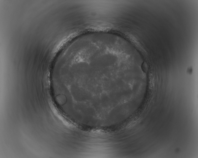 X0000116570634200912311954