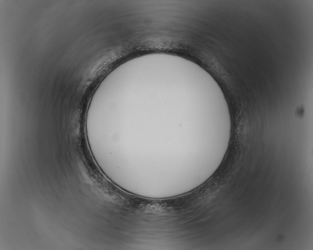 X0000116570635200912311954