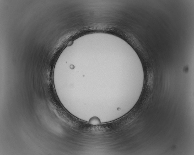 X0000116570636200912311954