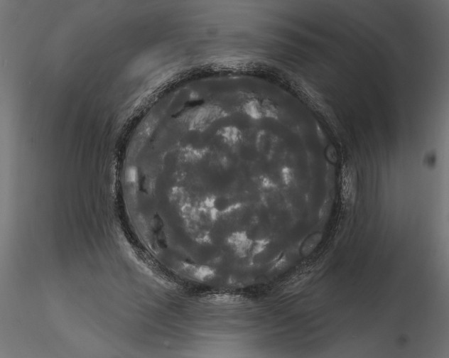 X0000116570637200912311954