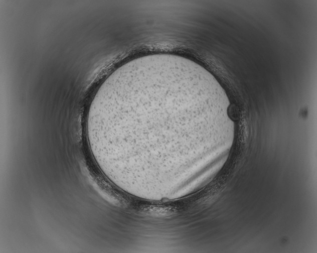 X0000116570638200912311954