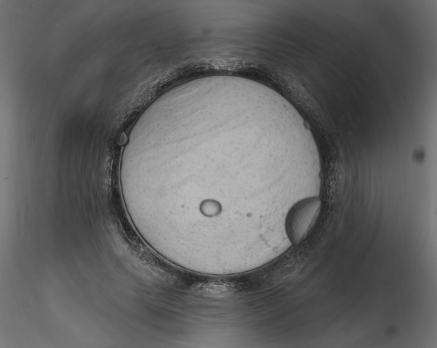 X0000116570639200912311954