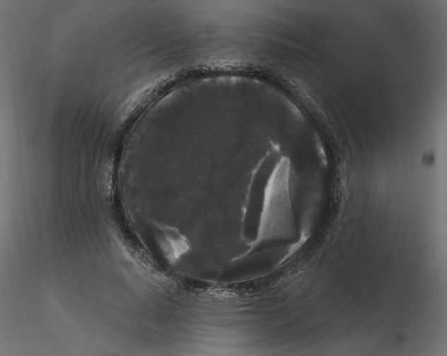 X0000116570640200912311954