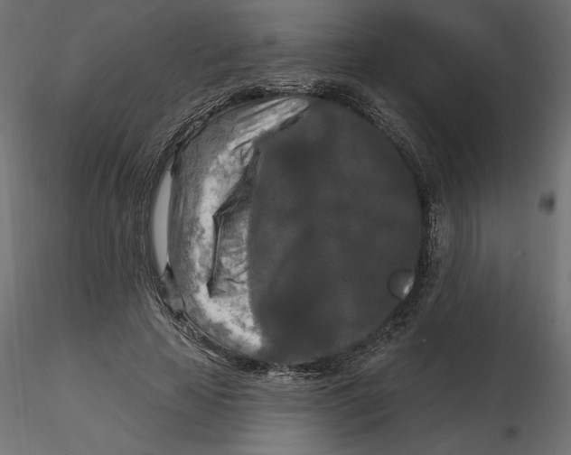 X0000116570641200912311954