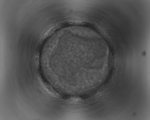 X0000116570642200912311954