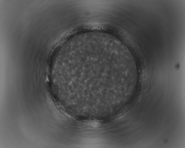 X0000116570643200912311954