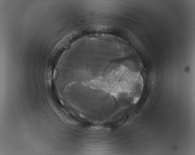 X0000116570644200912311954