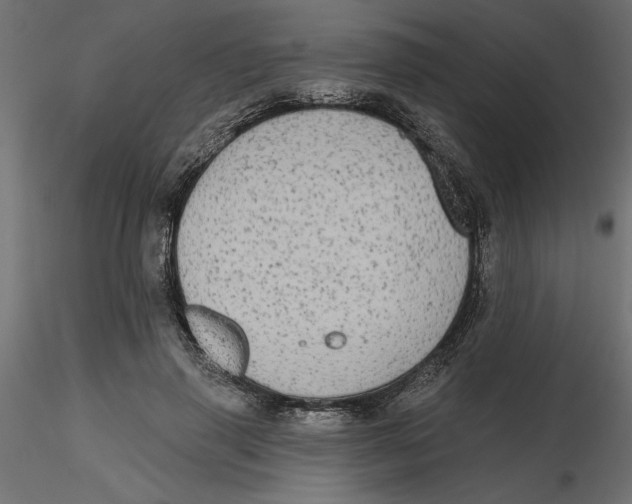 X0000116570645200912311954