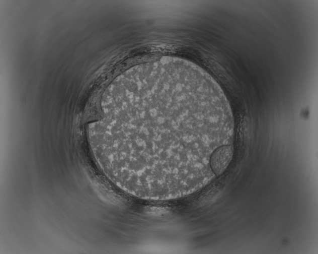 X0000116570649200912311954