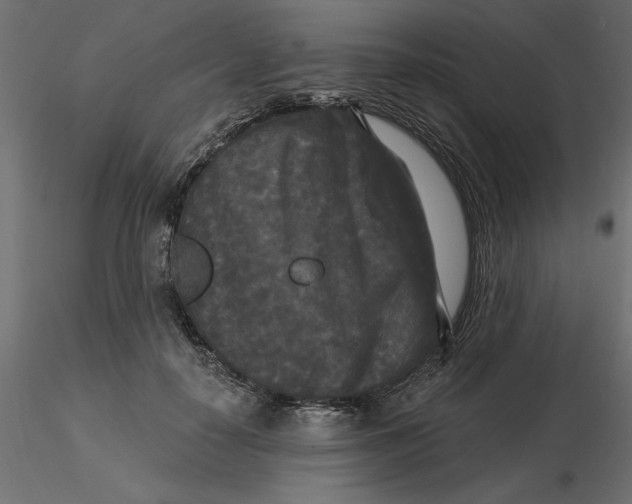 X0000116570650200912311954