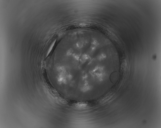 X0000116570651200912311954