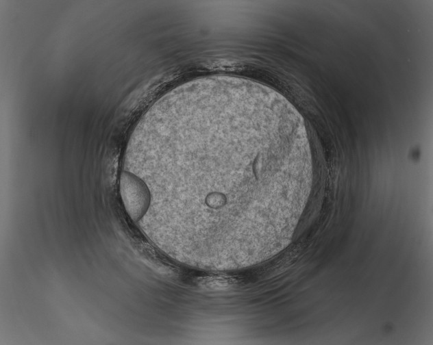 X0000116570652200912311954