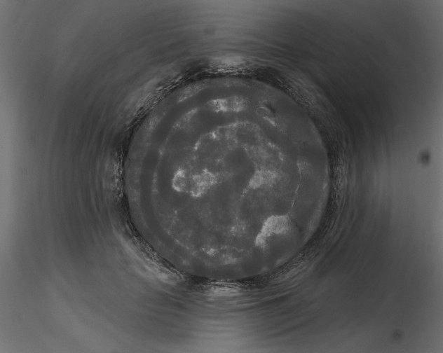 X0000116570653200912311954