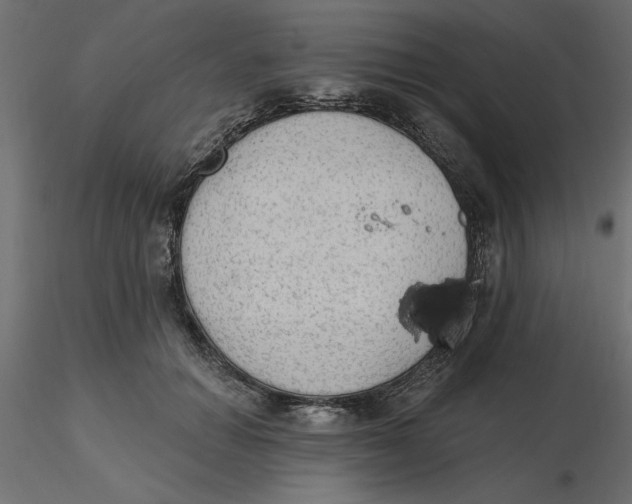 X0000116570654200912311954