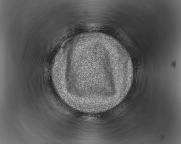 X0000116570655200912311954