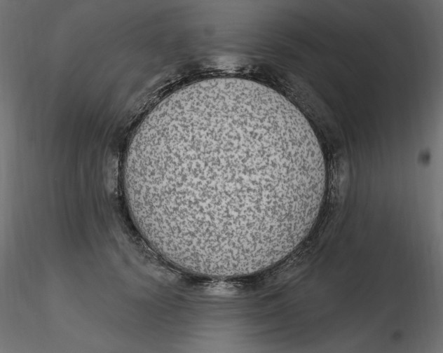 X0000116570656200912311954