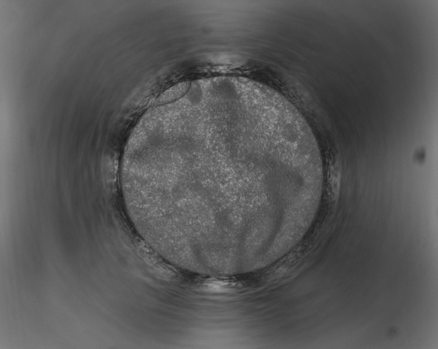 X0000116570657200912311954