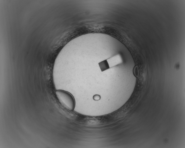 X0000116570658200912311954