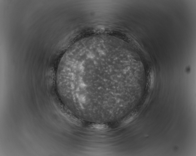 X0000116570659200912311954