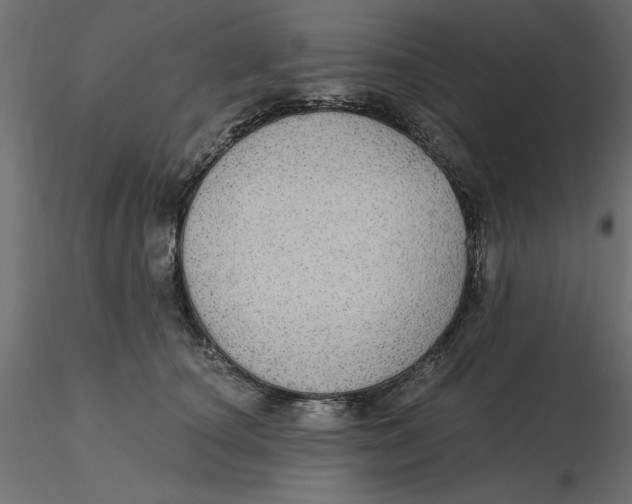 X0000116570660200912311954