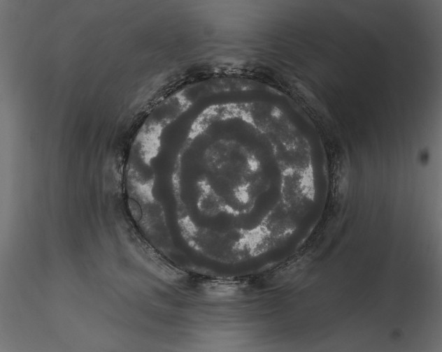 X0000116570661200912311954