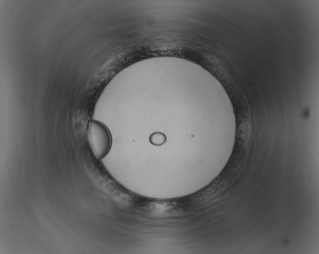 X0000116570662200912311954