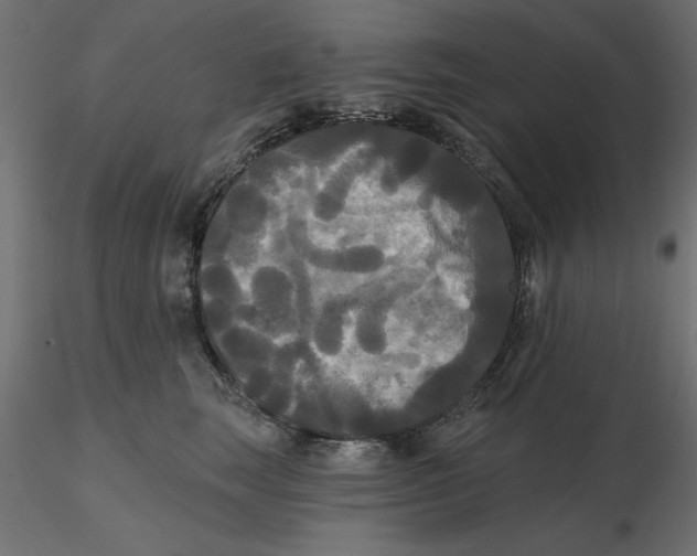 X0000116570663200912311954