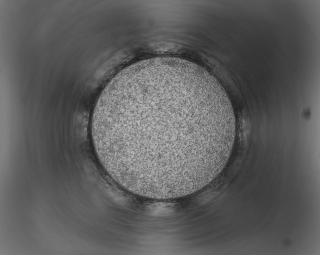 X0000116570664200912311954