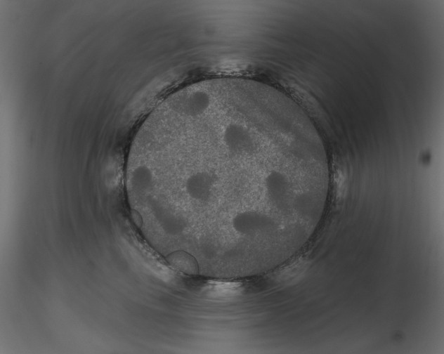 X0000116570665200912311954