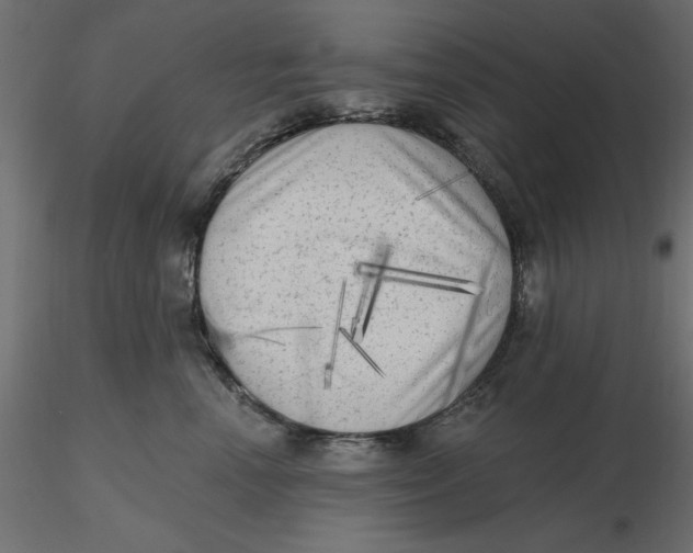 X0000116570666200912311954