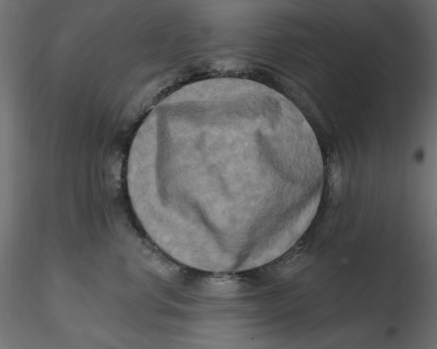 X0000116570668200912311954