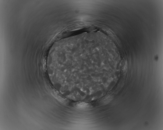 X0000116570669200912311954