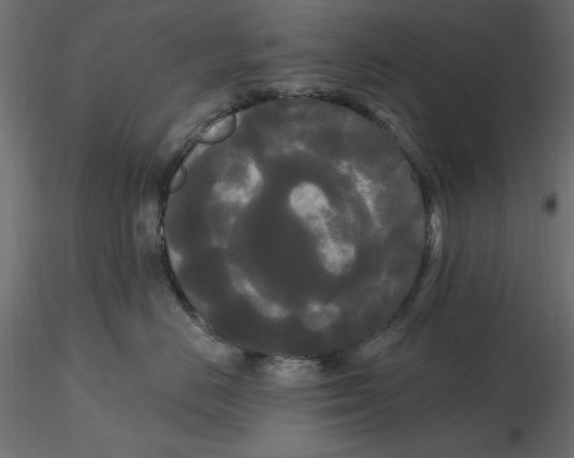 X0000116570670200912311954