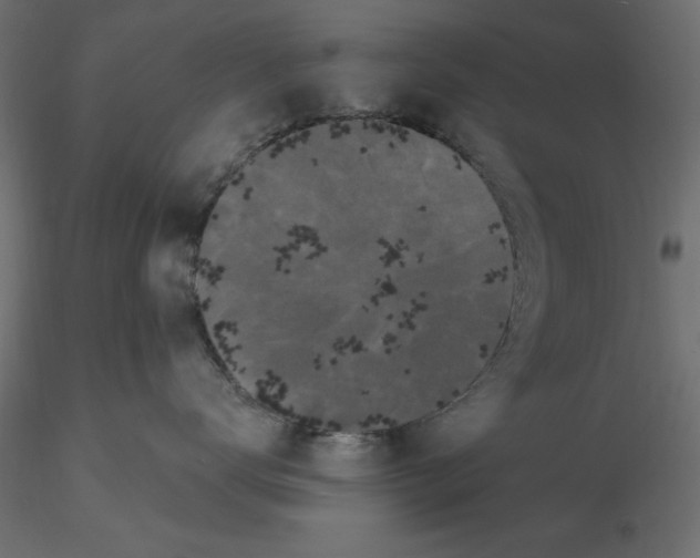 X0000116570672200912311955