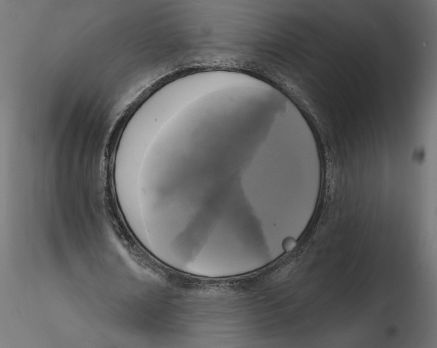 X0000116570674200912311954