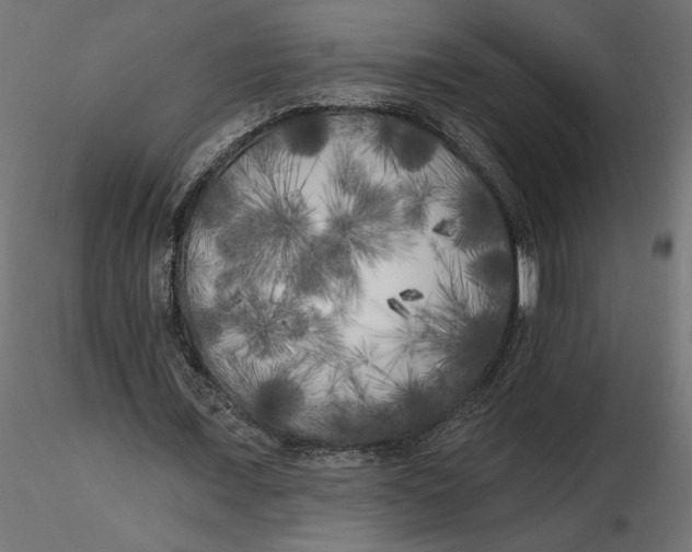 X0000116570675200912311954