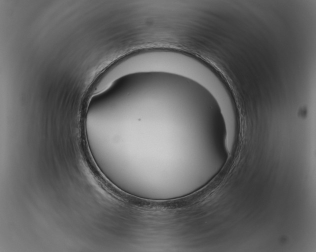 X0000116570677200912311954