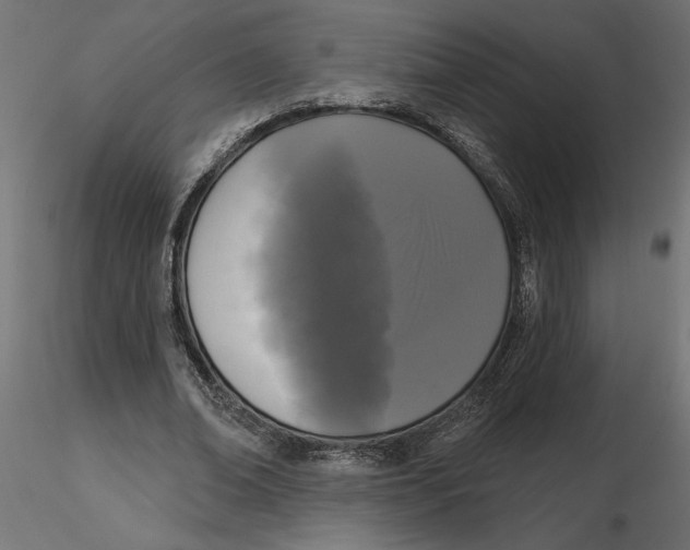 X0000116570678200912311954