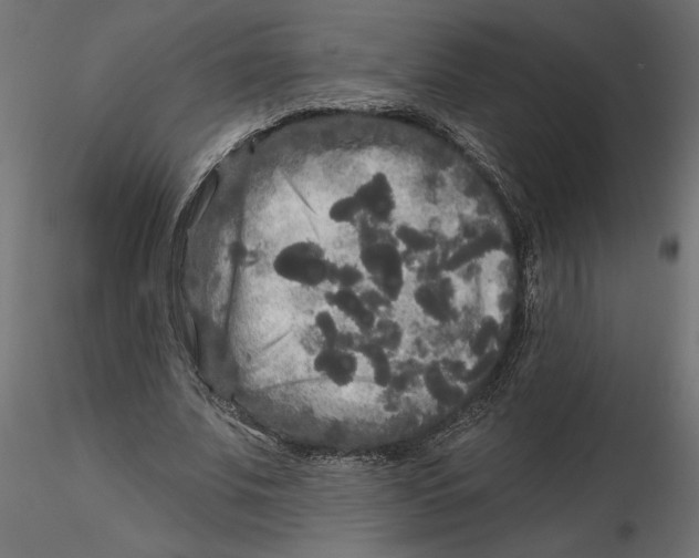 X0000116570679200912311954