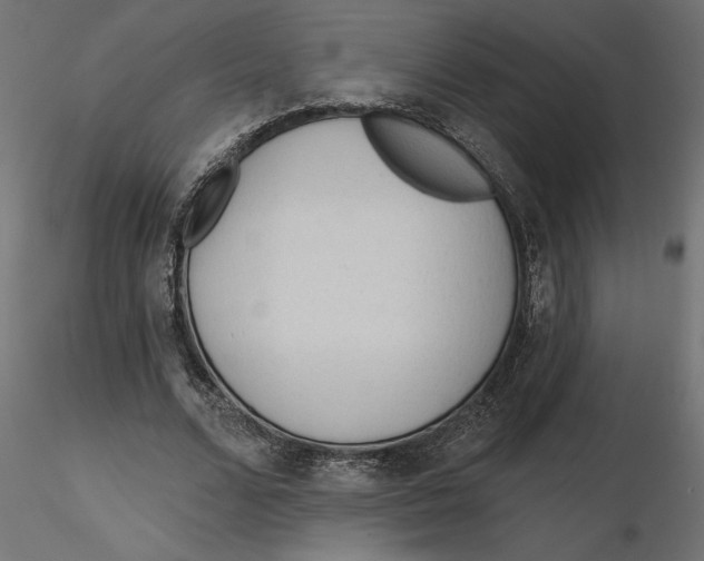 X0000116570680200912311954