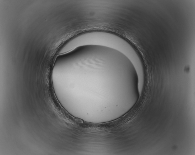 X0000116570681200912311954