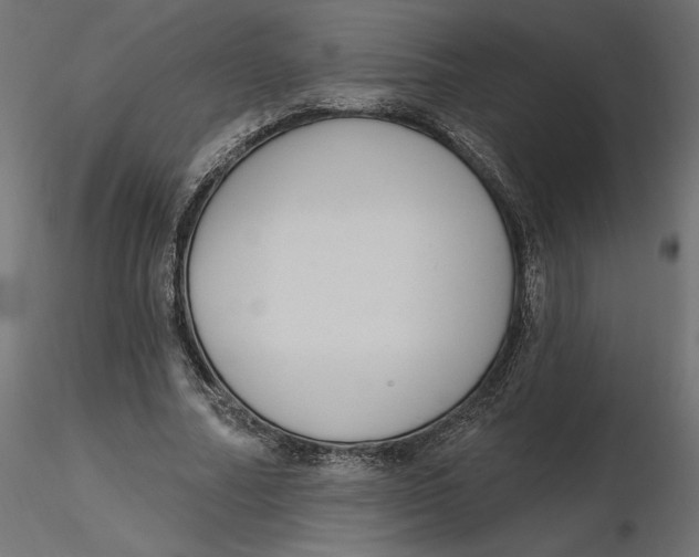 X0000116570682200912311954