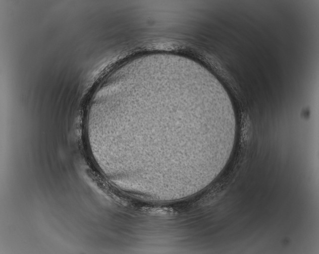 X0000116570683200912311954