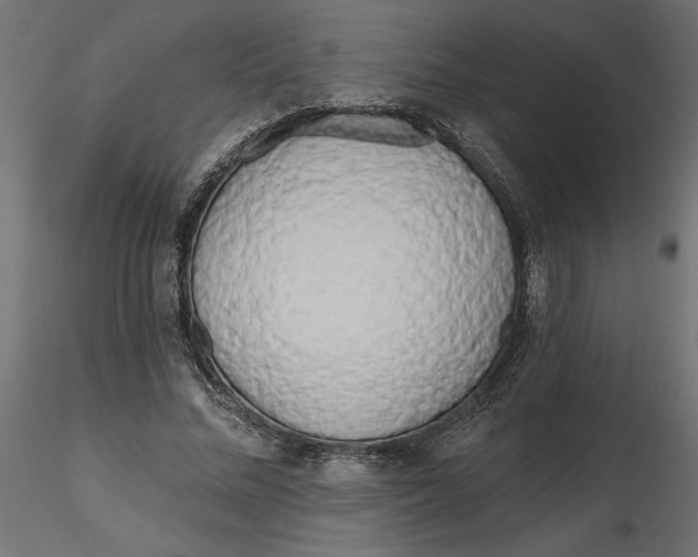 X0000116570684200912311954