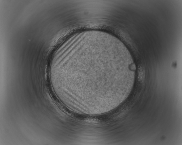 X0000116570685200912311954