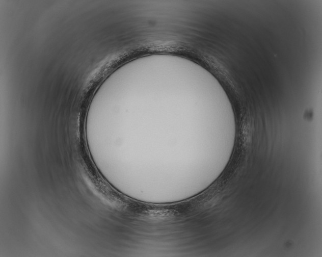 X0000116570686200912311954