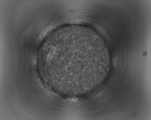 X0000116570687200912311954