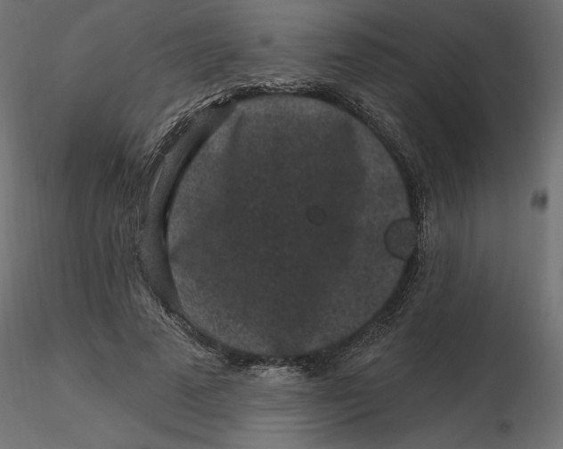 X0000116570689200912311954