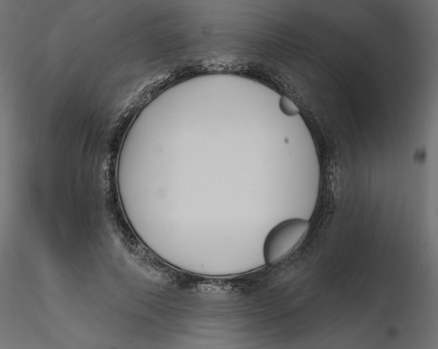 X0000116570690200912311954