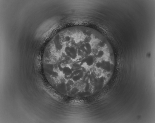 X0000116570691200912311954